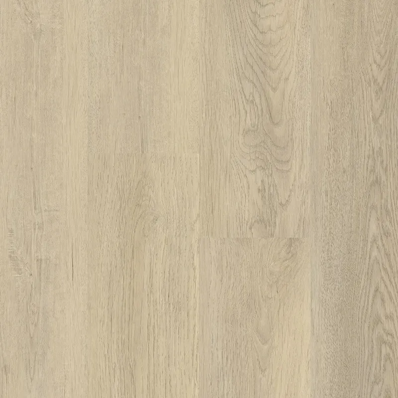 imgi_12_Sidewinder-CT404-Faded-Glory