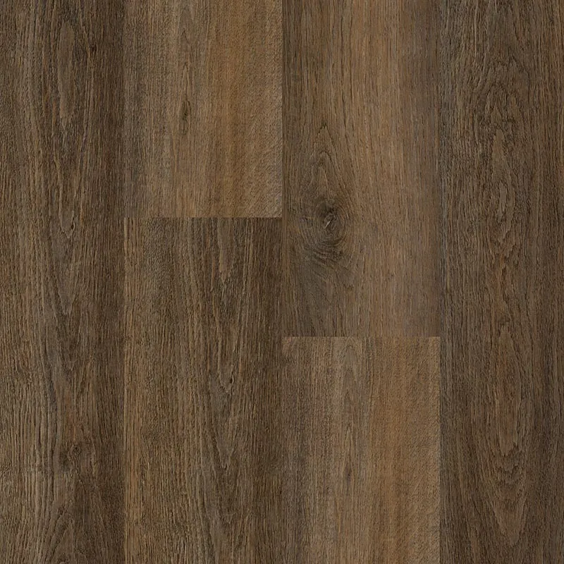 imgi_13_Sidewinder-CT401-Coffee-Bean